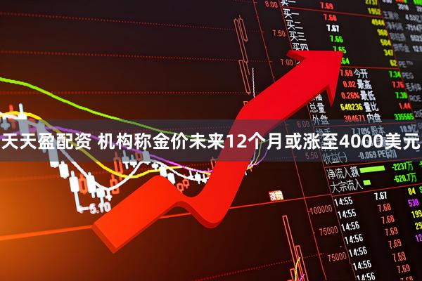 天天盈配资 机构称金价未来12个月或涨至4000美元