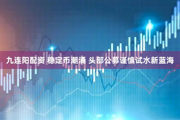 九连阳配资 稳定币潮涌 头部公募谨慎试水新蓝海